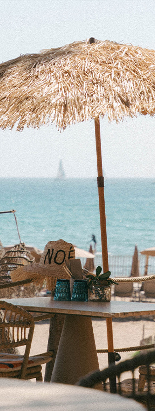 Noé & Le Comptoir de Noé